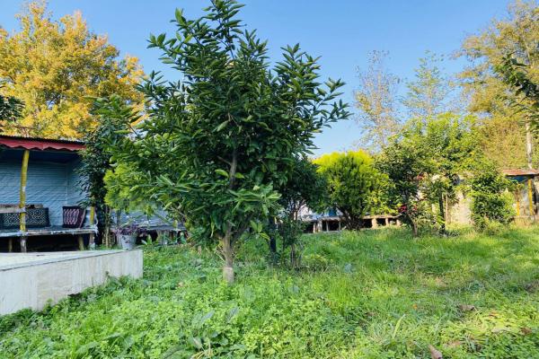 سوییت حیاط دار با ویوی طبیعت سلمانخواه قلعه رودخان - فومن